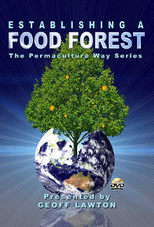 food forest