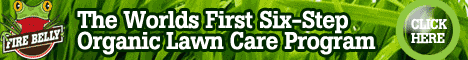 organic lawn care