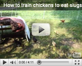 watch video at youtube