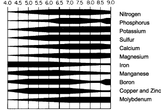 nutrient availability