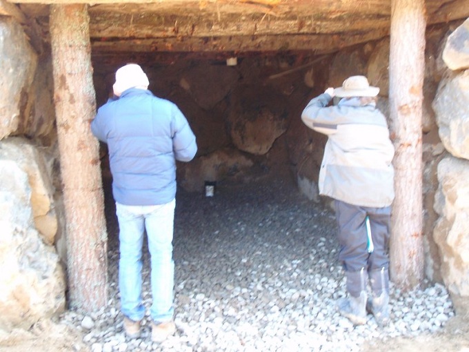 A look deep inside Sepp Holzer's root cellar